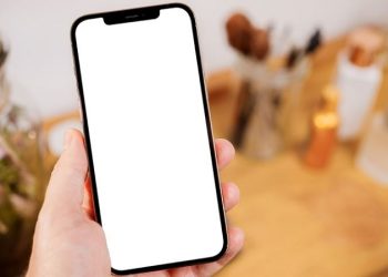 iphone bị lỗi màn hình trắng
