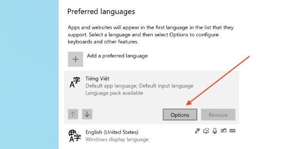 Chọn ngôn ngữ Vietnamese và nhấn Options