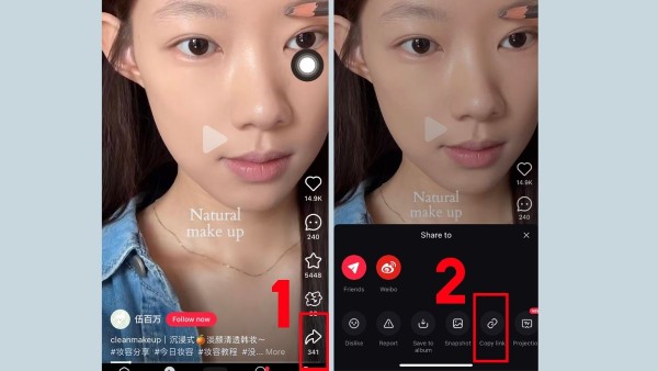 Sao chép liên kết video cần lưu 