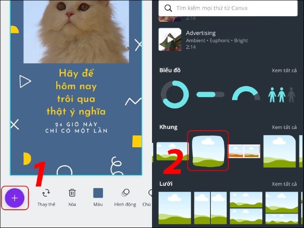 Điều chỉnh vùng cắt và xác nhận
