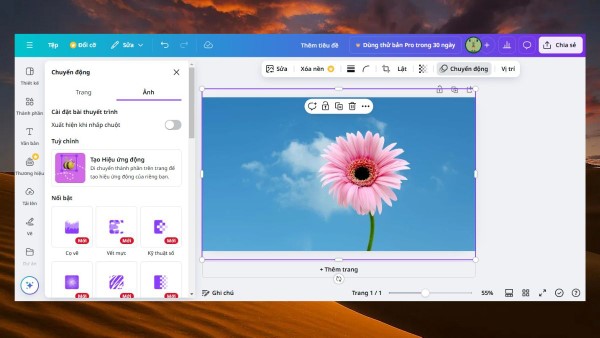 Kéo hình ảnh vào khung vừa chọn