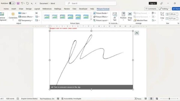 Mở Word và vào Insert → Pictures