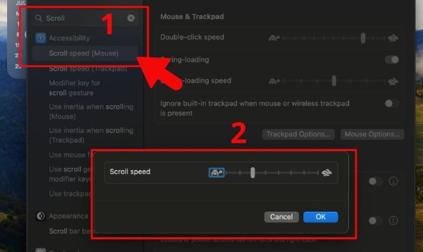Chọn Scroll Speed (Trackpad)