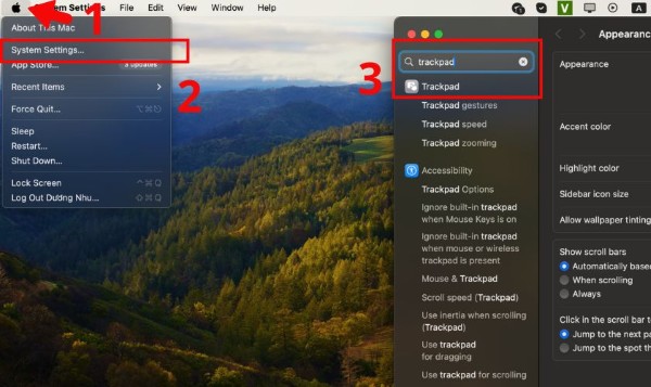 Chọn vào System Settings (Cài đặt hệ thống)