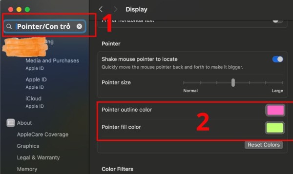 Chọn màu sắc tại mục Pointer Fill Color và Pointer Outline Color