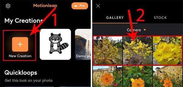 Nhấn vào mục Tạo mới và lựa chọn bức ảnh muốn tạo hiệu ứng
