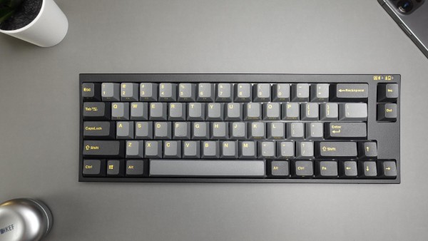 Thương hiệu cao cấp Leopold được thành lập năm 2006 tại Hàn Quốc