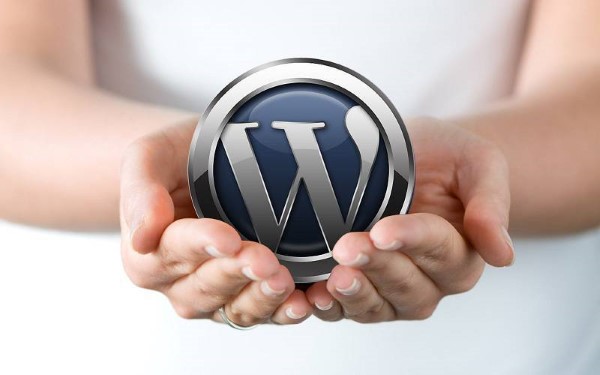WordPress là phần mềm thay thế cho b2/cafelog do lập trình viên Michel Valdrighi tạo ra