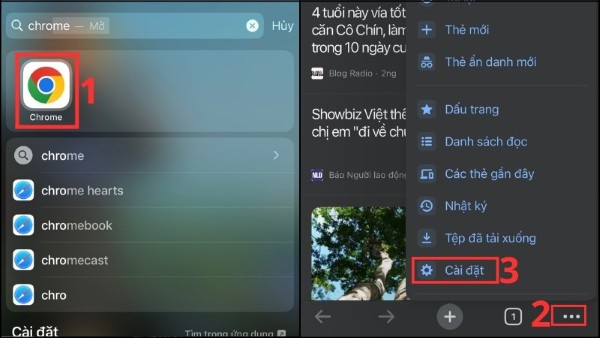 Mở Trình quản lý mật khẩu → chọn Cài đặt