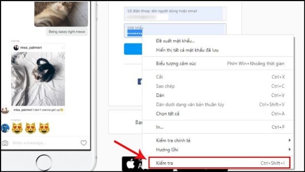 Chọn Kiểm tra hoặc nhấn F12