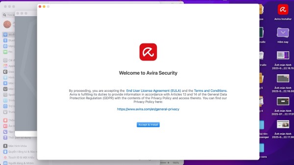 Chọn “Accept & Install”