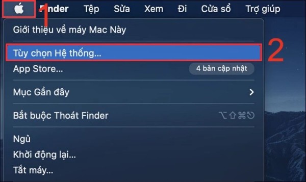 Chọn System Preferences (Tùy chọn Hệ thống)