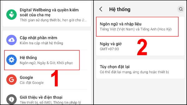Chọn Ngôn ngữ và nhập liệu