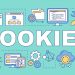 cách bật cookie trên iphone