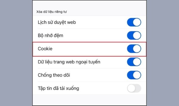 Chọn bật mục Cookies