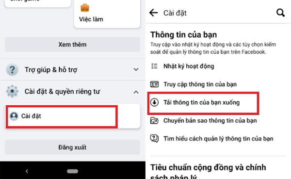 Chọn “Tải thông tin của bạn xuống”