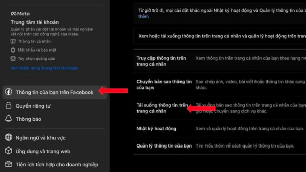 Nhấn “Tải thông tin của bạn xuống”