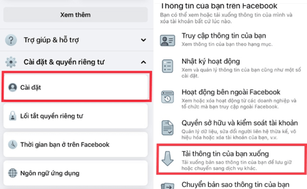 Chọn mục “Tải thông tin của bạn xuống” 