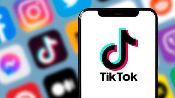 Hướng dẫn cách lấy lại video đã xóa trên TikTok