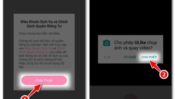Chọn Chấp nhận các điều khoản