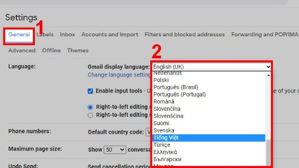 Mở tab Chung (General) và chọn Tiếng Việt