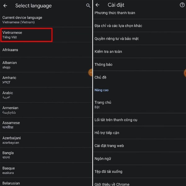 Chọn Vietnamese - Tiếng Việt