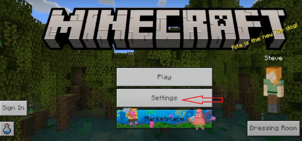Tiến hành khởi động lại Minecraft PE