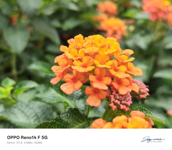 Hình ảnh chụp từ camera trên OPPO Reno14 F 5G