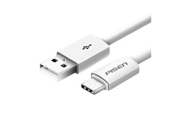 Cáp Pisen Type C 1m TC25-1000