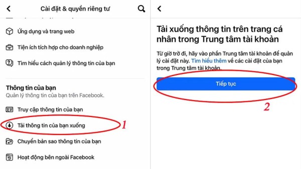 Chọn mục “Tải thông tin của bạn xuống”