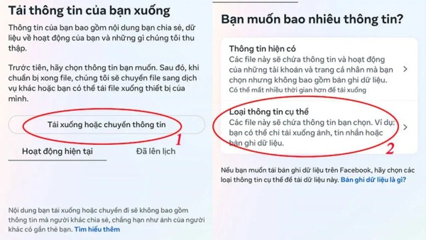 Chọn “Loại thông tin cụ thể”