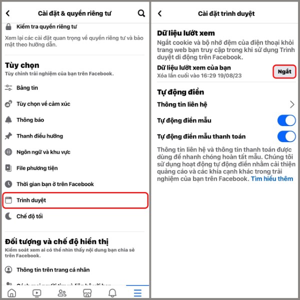 Sử dụng trình duyệt thay thế