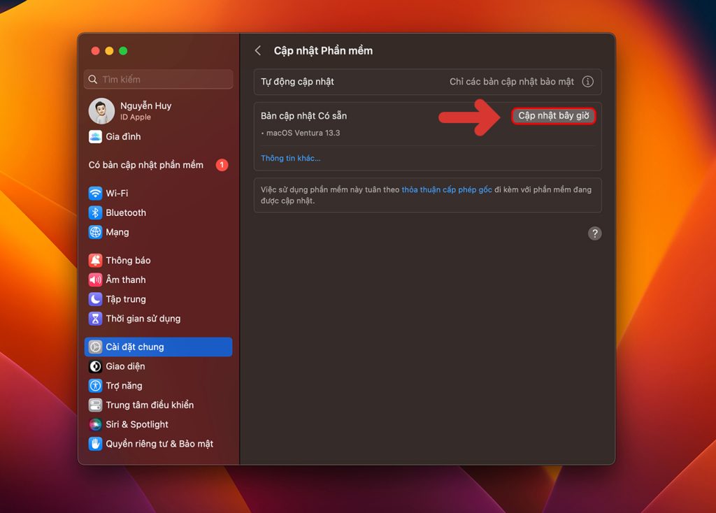 Cập nhật hệ điều hành qua Mac App Store hoặc phần System Preferences