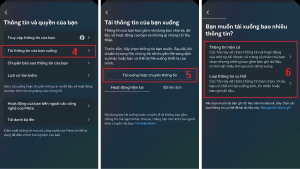 Chọn Tải xuống thông tin của bạn