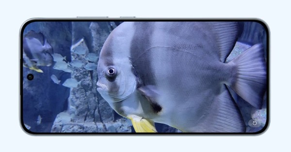 OPPO Reno14 F có màn hình AMOLED 6.57 inch Full HD+ với tần số quét 120Hz