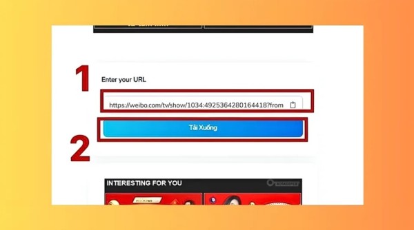 Dán đường link vừa sao chép vào ô nhập liệu