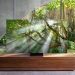 TV không viền là gì