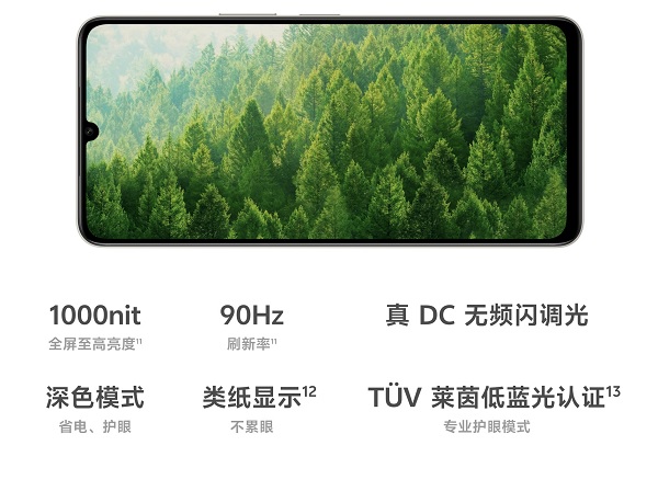 Vivo Y50 5G và Y50m 5G đều sở hữu màn hình LCD 6.74 inch HD+