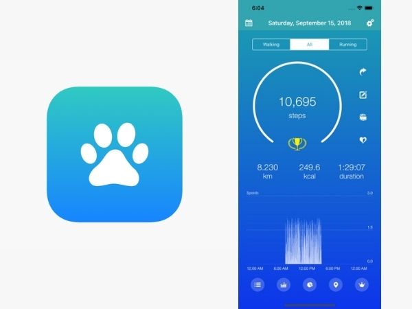 Walker còn có thể tổng hợp nhiều chỉ số sức khỏe khác ngoài bước chân