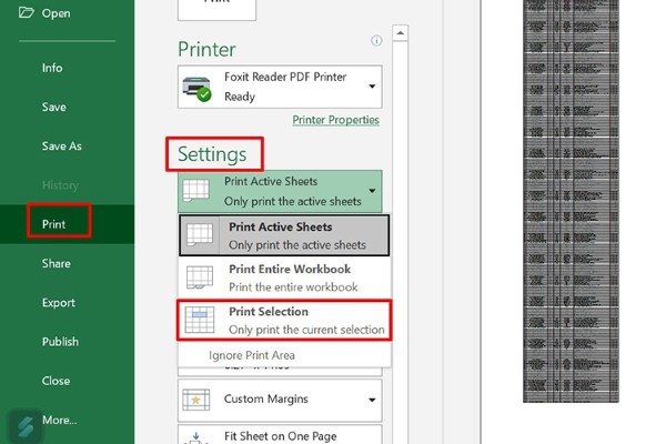 Chọn Print → chọn Print Selection