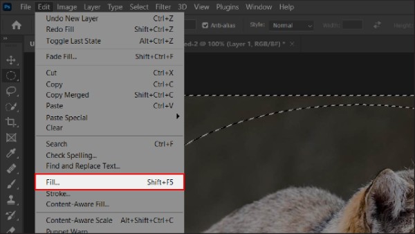 Mở Edit → Fill hoặc nhấn phím tắt Shift + F5