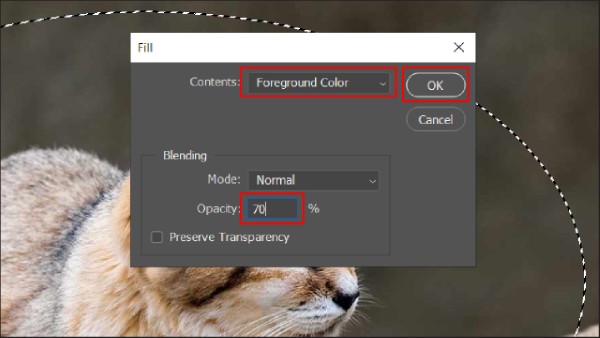 Thiết lập Opacity = 70%