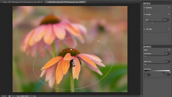 Sử dụng Layer Mask thay vì Fill trực tiếp để có thể điều chỉnh lại hoặc hoàn tác