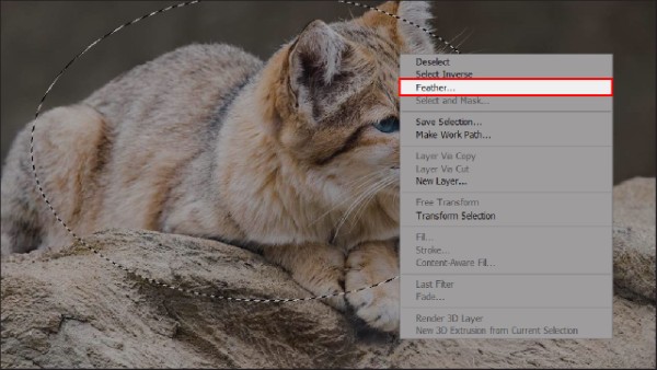 Nhấn chuột phải và chọn Feather...