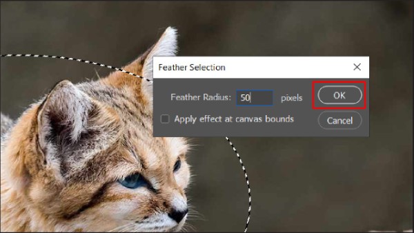 Điền giá trị tùy theo độ phân giải ảnh và nhấn OK