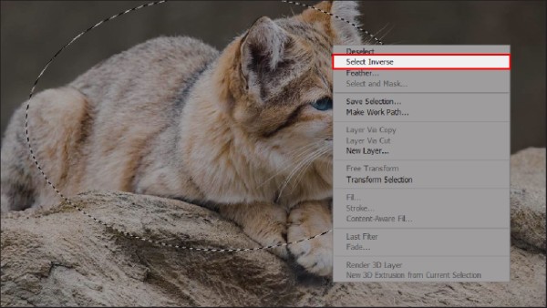 Chọn Select Inverse để nhắm vào khu vực viền ngoài