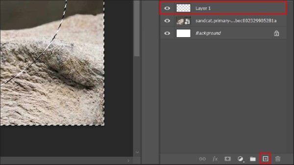 Nhấn vào biểu tượng New Layer
