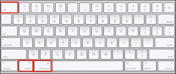 Nhấn tổ hợp phím Command + Option + Escape