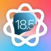 hạ cấp về iOS 18.5