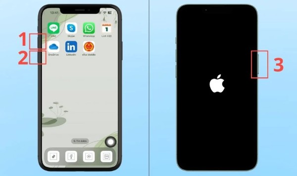 Giữ nút Nguồn cho đến khi màn hình hiện logo Apple
